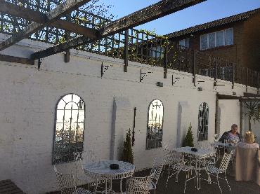 Major Plants Ltd - Duchess garden - London - UK - Image 14