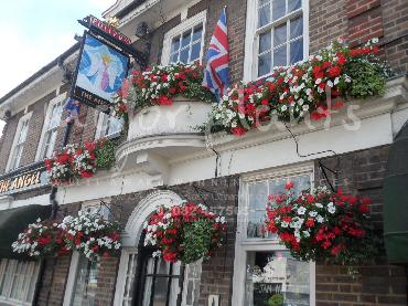 Major Plants Ltd - Hanging Basket Services - London - UK - Image 192
