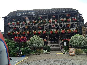 Major Plants Ltd - Our Customers - London - UK - Image 16