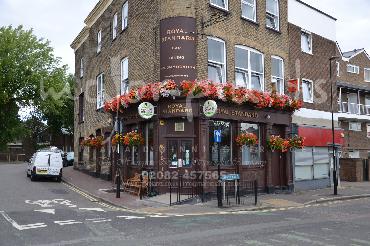 Major Plants Ltd - Our Customers - London - UK - Image 80