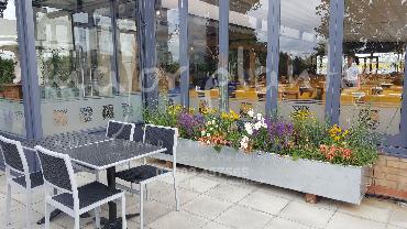 Major Plants Ltd - Pots and Troughs - London - UK - Image 28