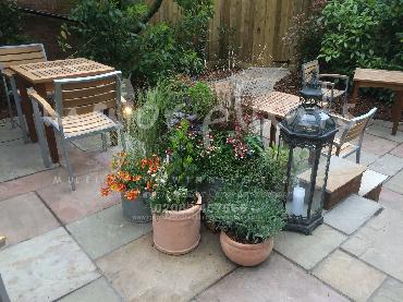 Major Plants Ltd - Pots and Troughs - London - UK - Image 39