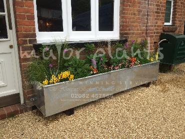Major Plants Ltd - Pots and Troughs - London - UK - Image 43