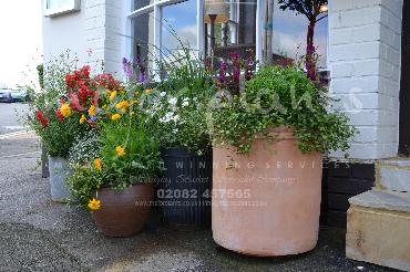Major Plants Ltd - Pots and Troughs - London - UK - Image 86