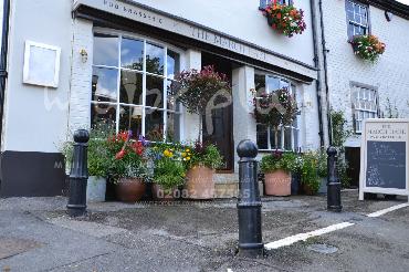 Major Plants Ltd - Pots and Troughs - London - UK - Image 88