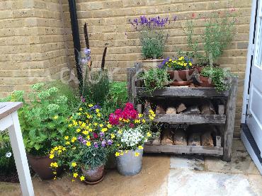 Major Plants Ltd - Pots and Troughs - London - UK - Image 121