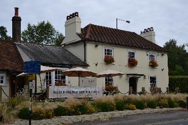 Major Plants Ltd - WBC The Hare - London - UK - Image 7