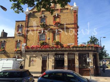 Major Plants Ltd - Window Boxes - London - UK - Image 18