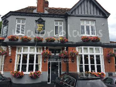 Major Plants Ltd - Window Boxes - London - UK - Image 72