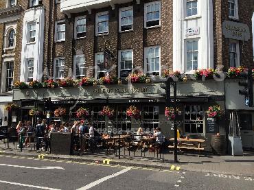 Major Plants Ltd - Window Boxes - London - UK - Image 116